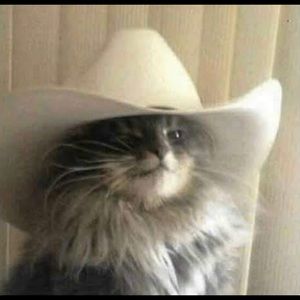 Meet your Posher, Jose